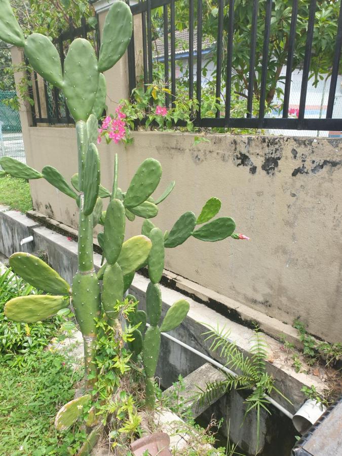 Lavender Impian Homestay Kajang Kültér fotó